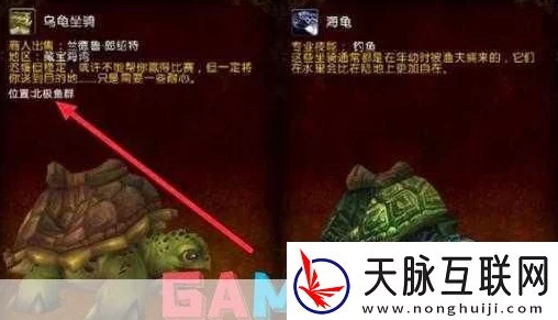 魔兽世界乌龟服附魔指南：详细步骤与技巧解析